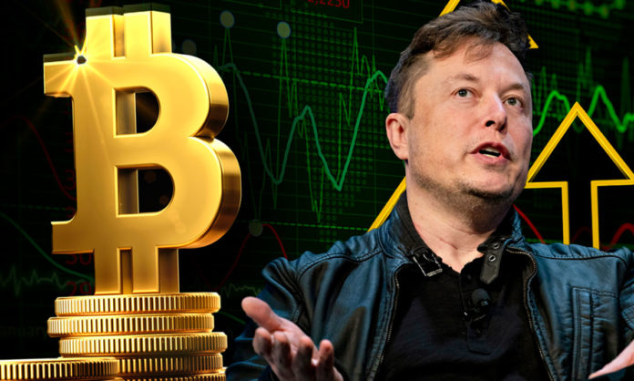 Илон Маск: инвестируй через краудфандинг