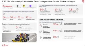 Неприкаянная индивидуальная мобильность